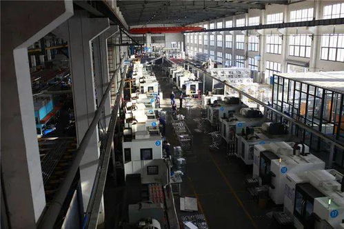 逐梦新时代 青年企业家风采秀 ⑨ 张琪浩 坚守实业,做好产业链延伸