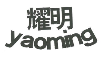 淄博鲁能实业有限责任公司