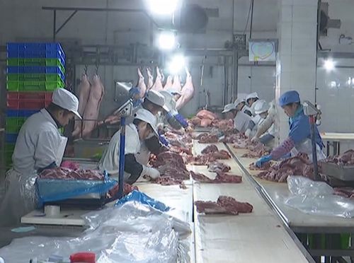 春风送岗 助力就业