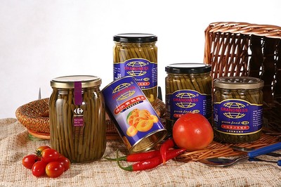 深圳振鹏达实业集团