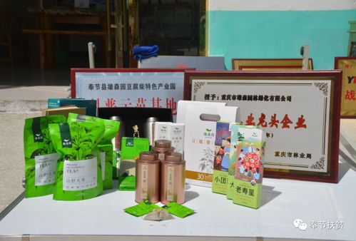 专报 奉节林业 生态扶贫与产业扶持 并驾齐驱