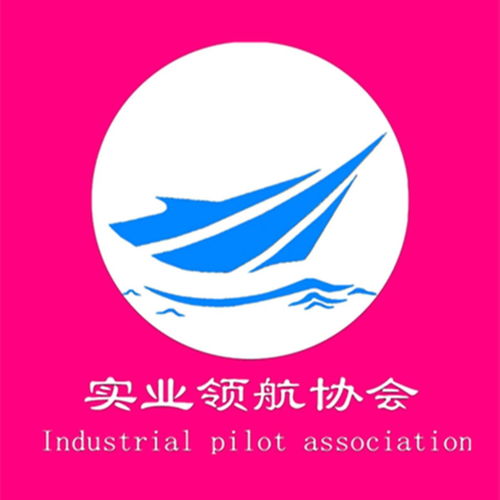 实业领航 新时代实体经济的振兴与创新