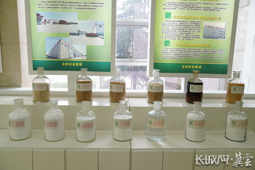 邢台 全力打造全省食品加工产业隆起带