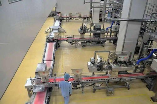 五年回眸丨科尔沁区的新型工业化之路