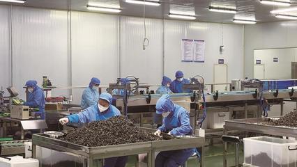 延边州 点燃“专精特新”强引擎 筑牢实体经济压舱石