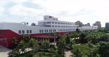 店小蜜一招解决26年龙头企业电商运营大问题