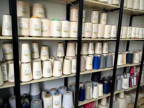 山东夏津政企同心激发纺织产业新活力一线见闻