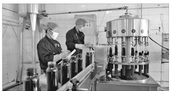 伊春森林食品产业 以绿色优质为导向，赋能实业发展