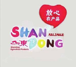 新闻中心山东渤海实业股份