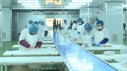 紧抓招商引资“源头活水” 打造经济发展“强劲引擎”